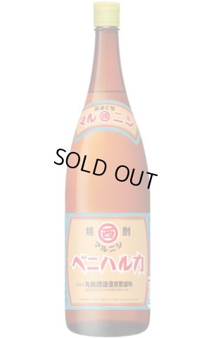 画像1: [芋焼酎]　マルニシ　ベニハルカ25度　1.8L