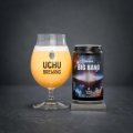 うちゅうブルーイング　BIG BANG IPA　350ml　(冷蔵)　