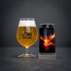 画像1: うちゅうブルーイング　FIRE BIRD　350ml　(冷蔵)　